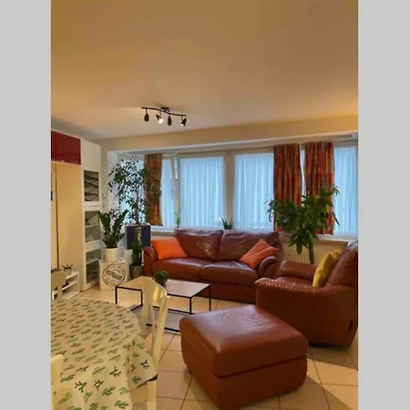 Beerloversappartement 70 M Van Het Strand אוסטנדה